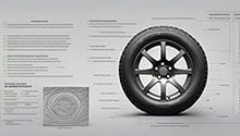 Tire Information Links