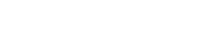 Performance Plus Tire